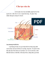 1. Cấu tạo của da