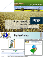 Cultura do Centeio e do Triticale