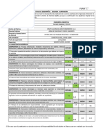 7. Ficha de Desempeño - Segunda Supervision