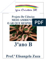 Projeto o Ar Que Respiramos 3 Ano B