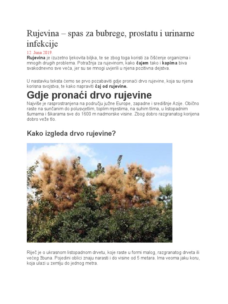 Rujevina | PDF
