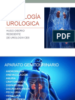 Semiología Urologica Hudaos