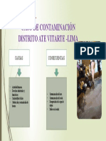 Caso de Contaminación Distrito Ate Vitarte - Lima