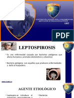 Leptospirosis