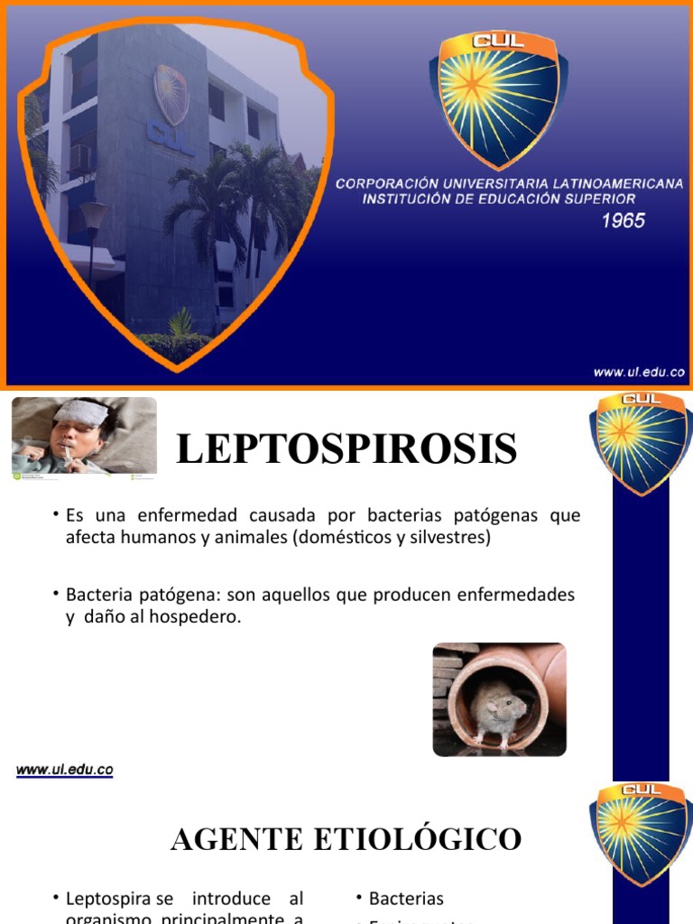 Leptospirosis PDF