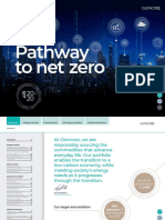 Pathway To Net Zero