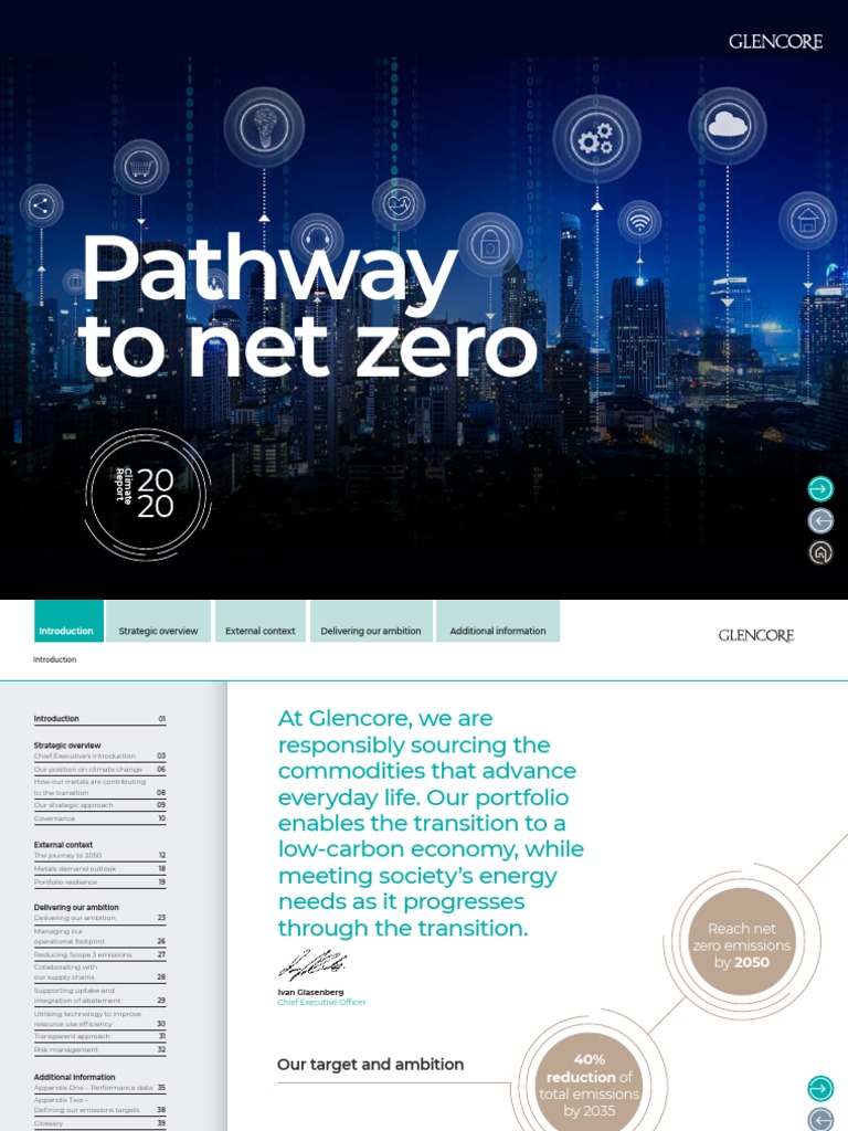 Pathway To Net Zero | PDF | Low Carbon Economy | Climate Change