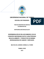 2016 Cornejo Biorremediacion-Relaves-Mineros