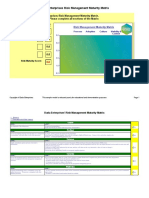 Risk Management Format