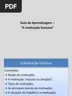 A Motivação Humana