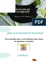 Presentación Función de Nutrición