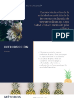 Evaluación in Vitro de La Actividad Nematicida de La Fermentación Líquida de Purpureocillium Sp. Cepa UdeA 0106 en Suelos de Piña y Flores