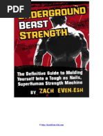 Download 12monthbeast by Nevzat ztrkmen SN49604066 doc pdf