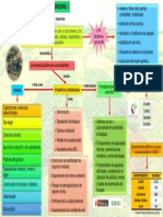 Mapa Conceptual Tala de Bosques