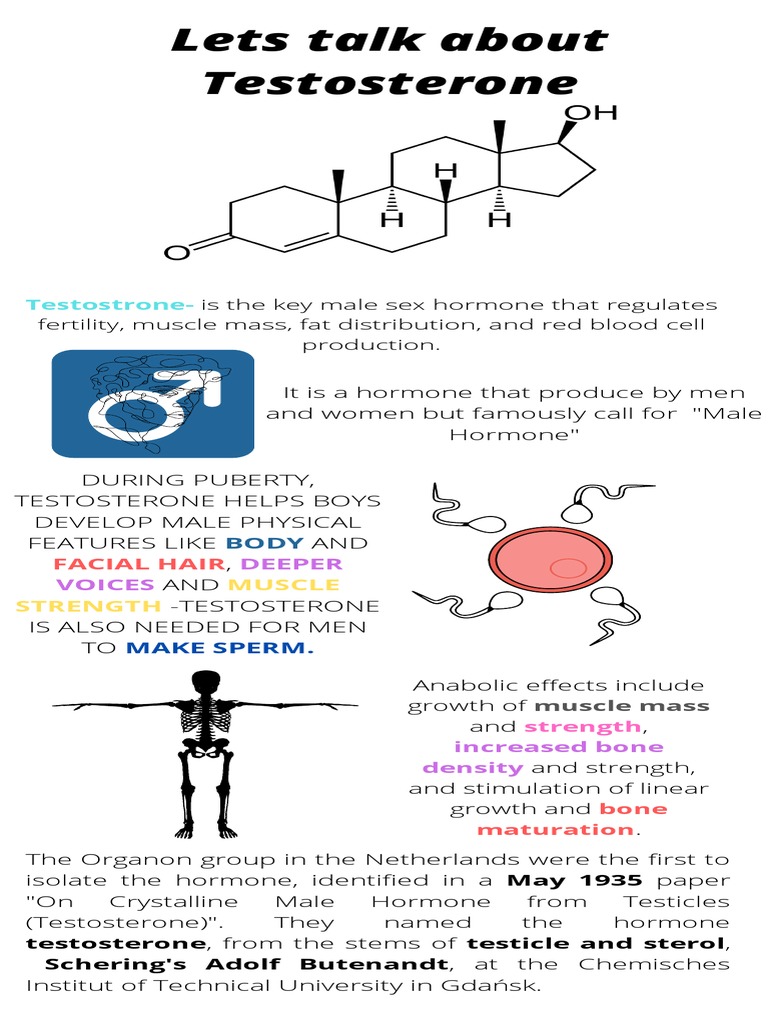 Understanding Testosterone Basics | PDF | Self-Improvement