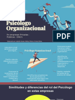 Rol Del Psicologo Organizacional