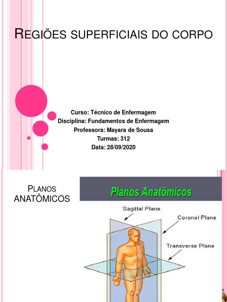 Regiões Superficiais do Corpo Humano | PDF