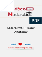 Lateral Wall - Bony Anatomy: With From