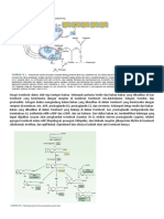 mekanisme obat ANTIPLATELET