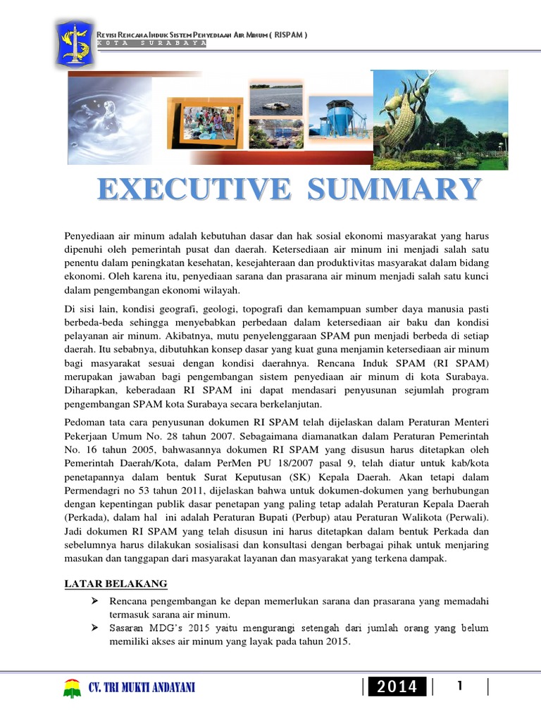 Executive summary ri spam sby pdf