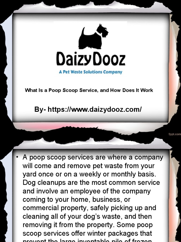 What Is A Poop Scoop Service, and How Does It Work PDF Pet Stormwater