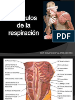 musculosdelarespiracion-140320230641-phpapp01