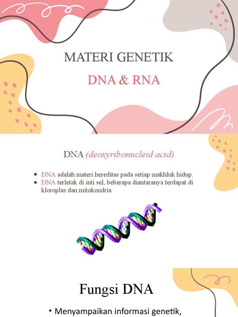 Struktur dan Fungsi DNA dan RNA | PDF | Sains & Matematika