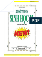 Sơ đồ tư duy sinh học 12