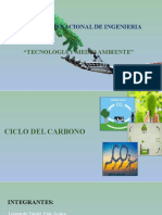 Ciclo Del Carbono Powerp