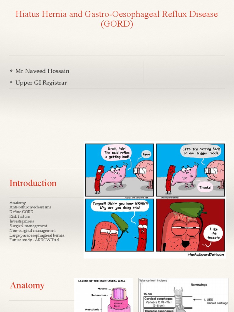 Hiatus Hernia and GORD Overview | PDF | Gastroesophageal Reflux Disease ...
