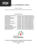(Beta Vers) Sarulla Geothermal Field Report