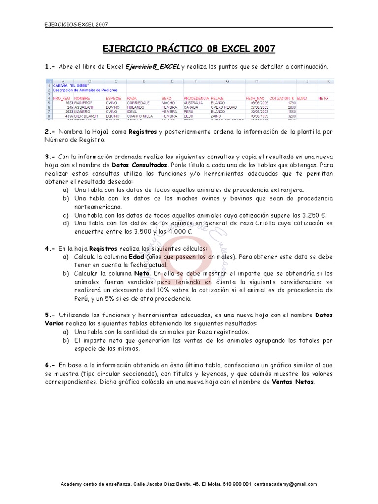 Ejercicios Prácticos de Excel 2007 | PDF | Microsoft Excel | Business