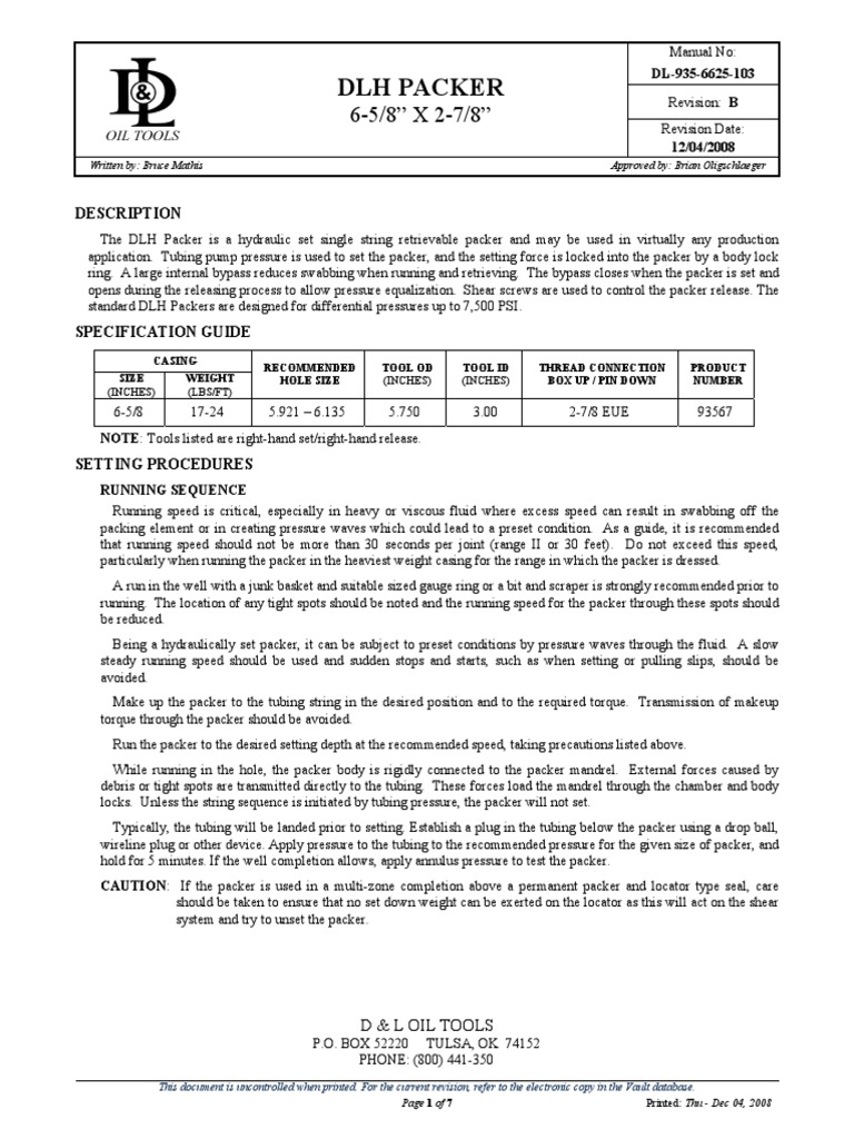 DLH Packer System Overview | PDF | Screw | Pipe (Fluid Conveyance)