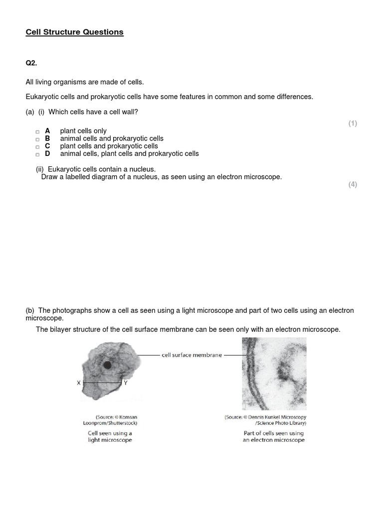 Cell Structure Questions And Revision Mme