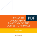 Atlas of Topographical Anatomy of the Domestic Animals (Vetbooks.ir)