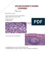 Histología de Sangre y Tejido Linfoide