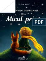 Ce Am Invatat Despre Viata de La Micul Print