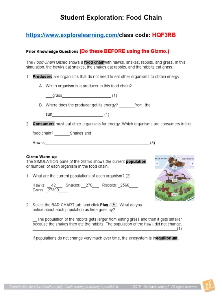 Gizmo Food Chain1 PDF Predation Ecology