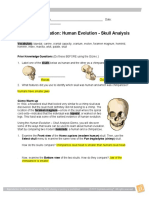 Student Exploration: Human Evolution - Skull Analysis