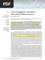Crack Propagation in Bamboo's Hierachical Cellular Structure Habib & Lu