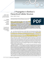 Crack Propagation in Bamboo's Hierachical Cellular Structure Habib & Lu