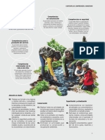 USAID Procolombia Manual-Para-Guias 19