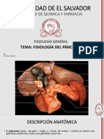 Fisiología del páncreas(1)