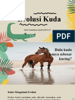 Evolusi Kuda