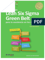 Certificación Lean Six Sigma Green_excelencia en Los Negocios Luis Soconinni