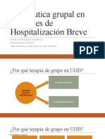 Terapéutica Grupal en Unidades de Hospitalización Breve