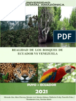 Libro Realidad de Los Bosques Ecuador Vs Venezuela
