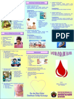 Anemia Pada Ibu Hamil