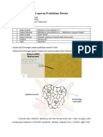 Nurul Fauziah LaporanPraktikumBotani6
