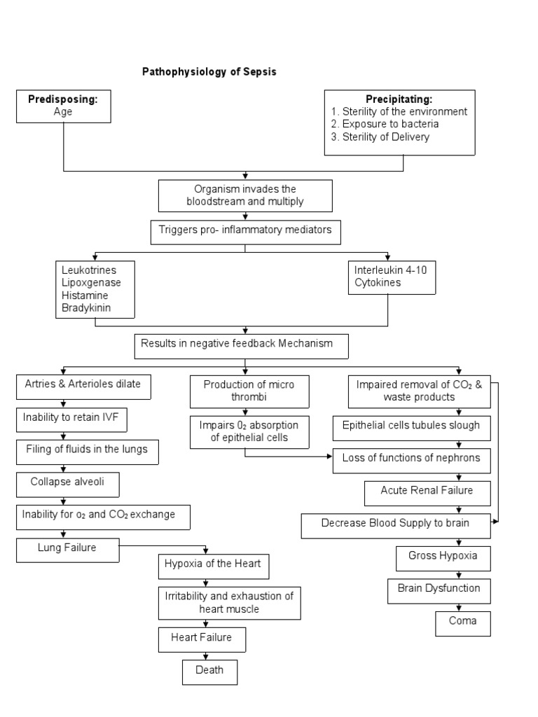 Pathophysiology of Sepsis | PDF | Inflammation | Sepsis
